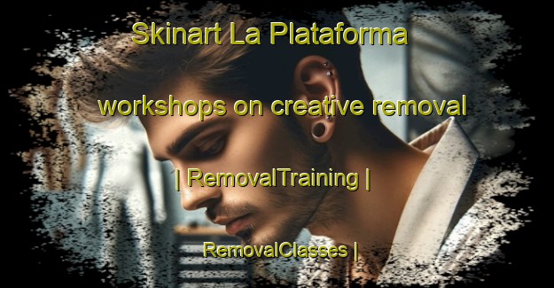 Skinart La Plataforma workshops on creative removal | RemovalTraining | RemovalClasses | SkinartTraining-Mexico